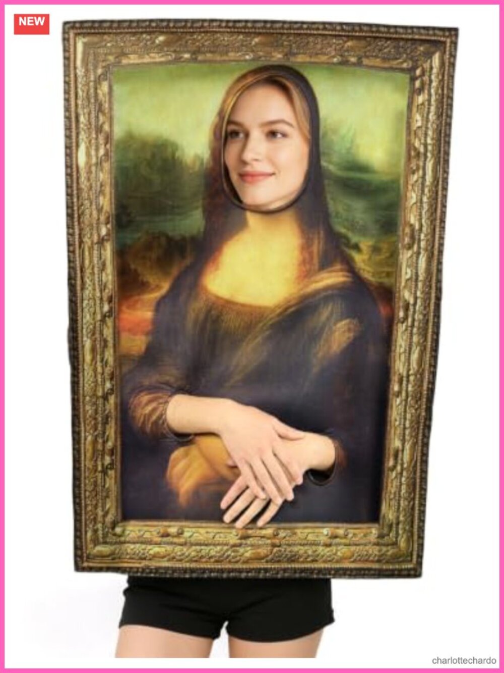 Famous Paintings Costume Polyester Pullover Tunic Adult Halloween Party
